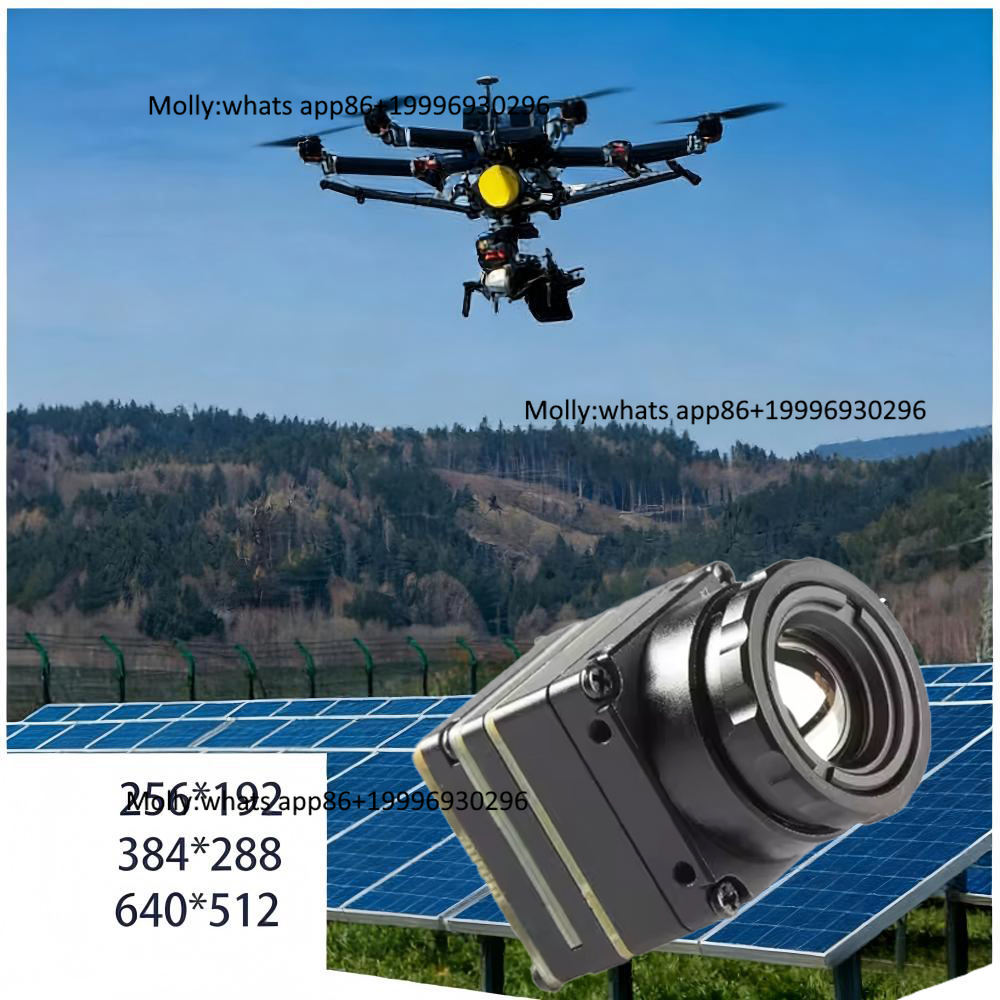 Thermal Camera Type C 384X288 - Module de caméra thermique FPV miniature